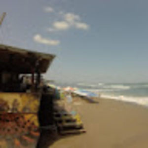 Meet your Posher, Ella